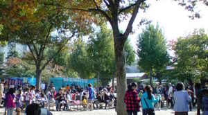 20091108autumfesta (1).JPG