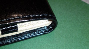 20091108cypris (2).JPG