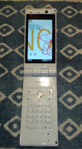 20091227p03a (1).JPG