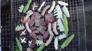 20100501mikunibbq(8).JPG