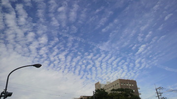 20111001undoukai (2).jpg