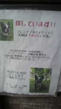 2011100816070000.jpg