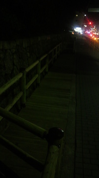 2012022119330001.jpg