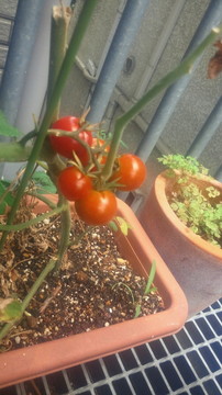 2012071512010000.jpg