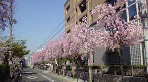 DSC00307.JPG