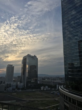 IMG_0826.JPG