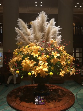 IMG_1224.JPG