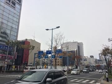 IMG_3421.JPG