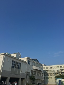 IMG_9652.JPG