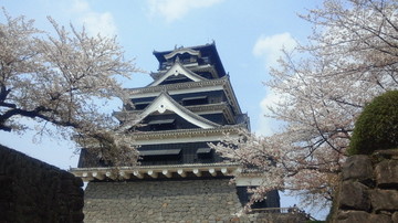 NEC_0045.JPG