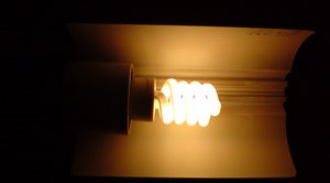 light (1).JPG